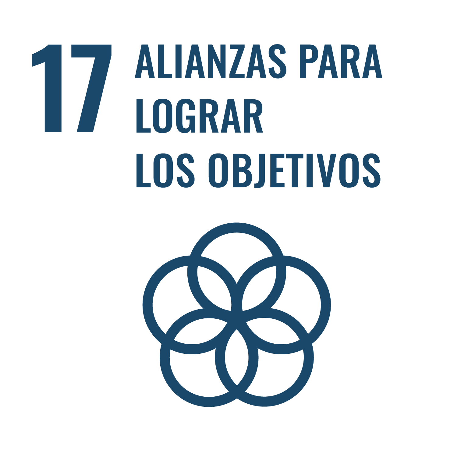 ODS 17: Partnerships for the goals